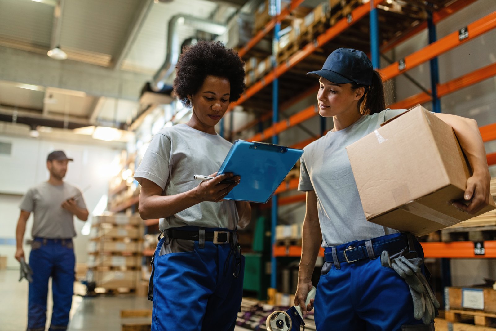 Auric Vault Logistics Features
